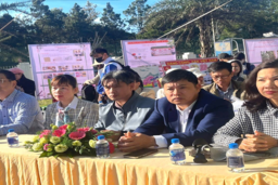 Giáo dục Bảo Lâm sôi nổi Ngày hội STEM năm học 2024-2025